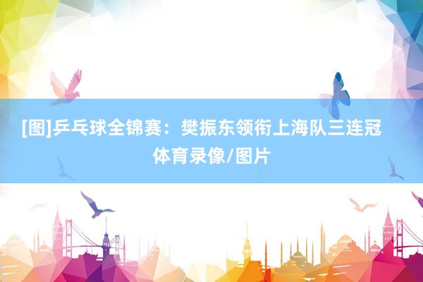 [图]乒乓球全锦赛：樊振东领衔上海队三连冠    体育录像/图片