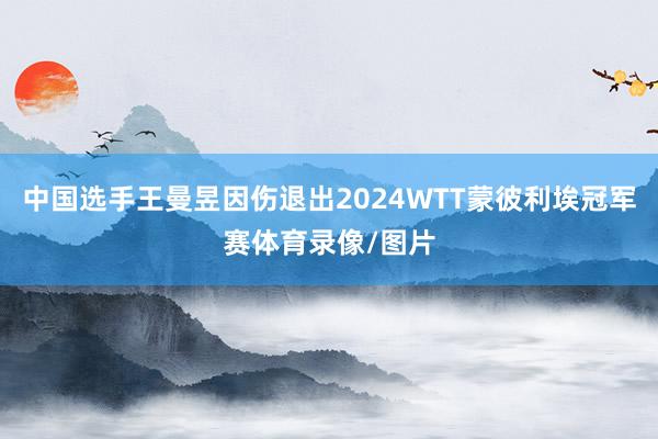 中国选手王曼昱因伤退出2024WTT蒙彼利埃冠军赛体育录像/图片