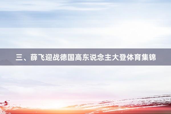 三、薛飞迎战德国高东说念主大登体育集锦