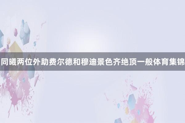 同曦两位外助费尔德和穆迪景色齐绝顶一般体育集锦