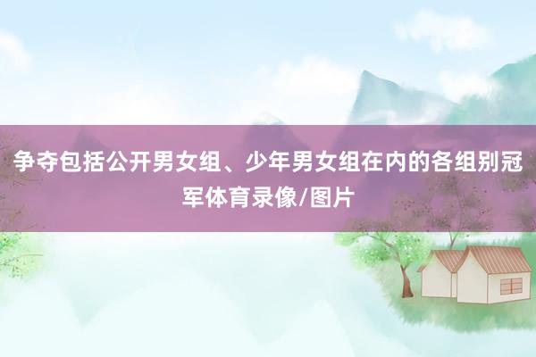 争夺包括公开男女组、少年男女组在内的各组别冠军体育录像/图片