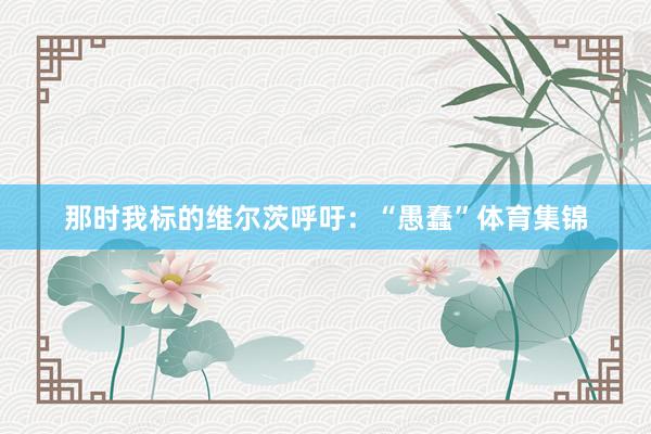 那时我标的维尔茨呼吁：“愚蠢”体育集锦
