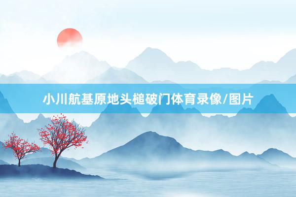 小川航基原地头槌破门体育录像/图片