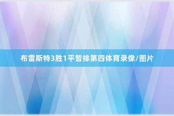 布雷斯特3胜1平暂排第四体育录像/图片