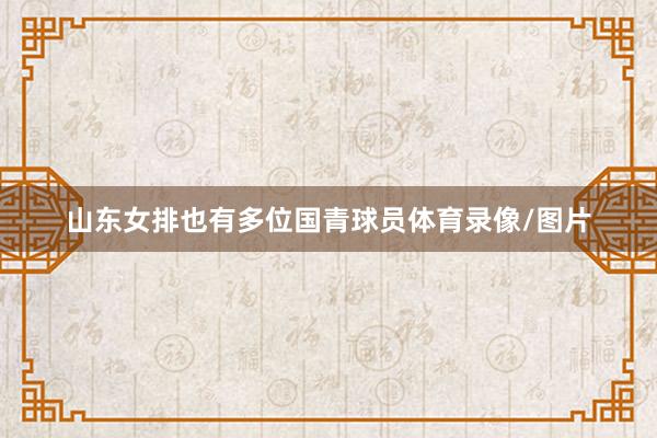 山东女排也有多位国青球员体育录像/图片