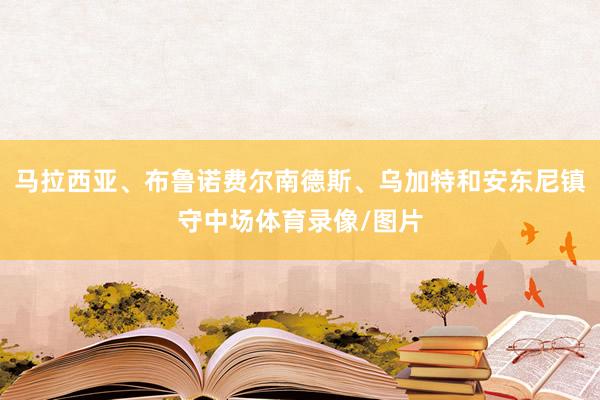 马拉西亚、布鲁诺费尔南德斯、乌加特和安东尼镇守中场体育录像/图片