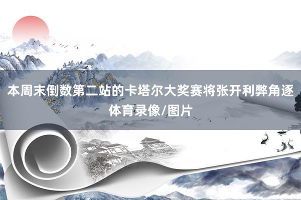 本周末倒数第二站的卡塔尔大奖赛将张开利弊角逐体育录像/图片