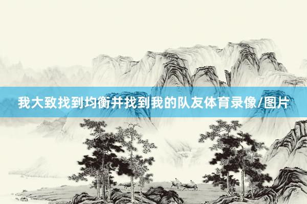 我大致找到均衡并找到我的队友体育录像/图片