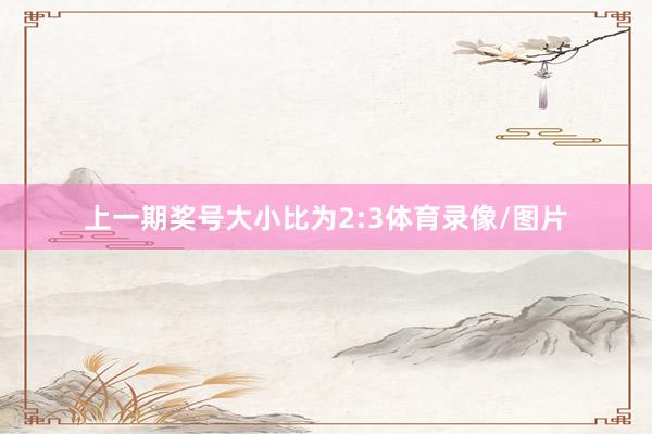 上一期奖号大小比为2:3体育录像/图片