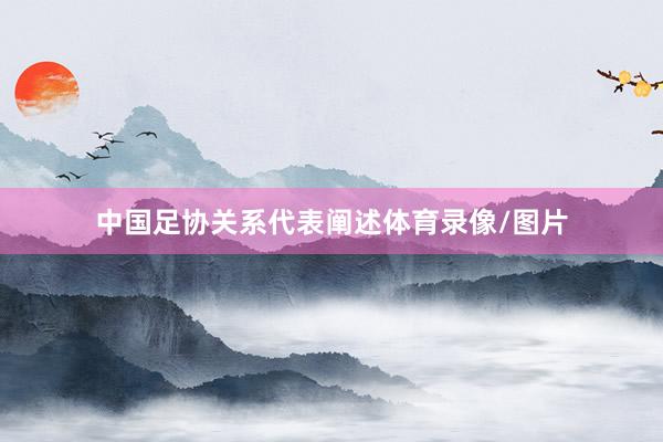 中国足协关系代表阐述体育录像/图片