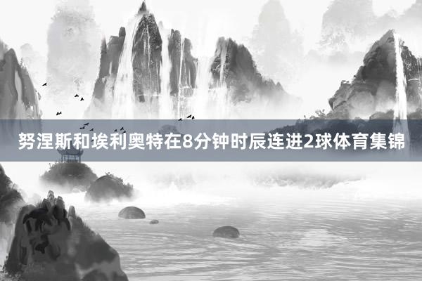 努涅斯和埃利奥特在8分钟时辰连进2球体育集锦