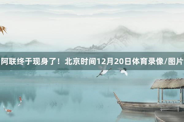 阿联终于现身了！北京时间12月20日体育录像/图片