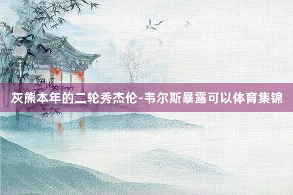 灰熊本年的二轮秀杰伦-韦尔斯暴露可以体育集锦