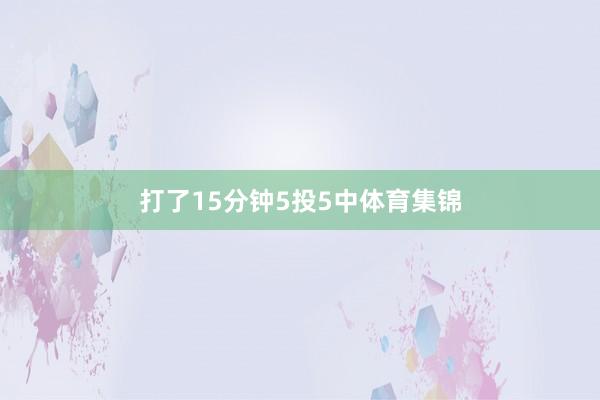 打了15分钟5投5中体育集锦