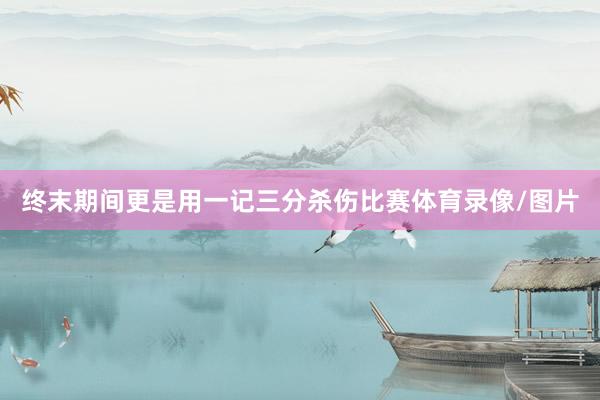 终末期间更是用一记三分杀伤比赛体育录像/图片