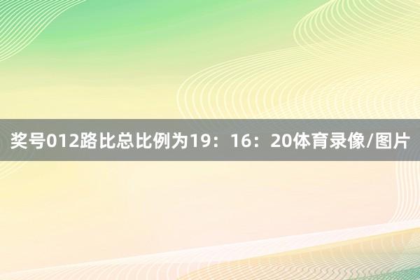 奖号012路比总比例为19：16：20体育录像/图片