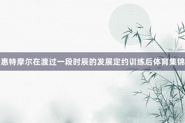 惠特摩尔在渡过一段时辰的发展定约训练后体育集锦