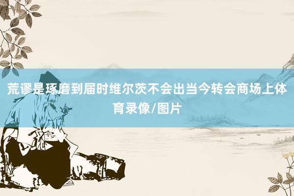 荒谬是琢磨到届时维尔茨不会出当今转会商场上体育录像/图片