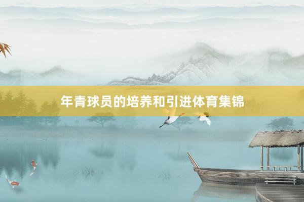 年青球员的培养和引进体育集锦