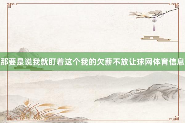 那要是说我就盯着这个我的欠薪不放让球网体育信息
