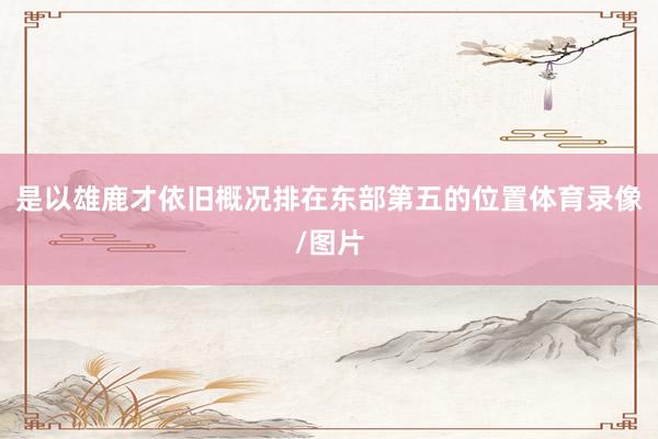 是以雄鹿才依旧概况排在东部第五的位置体育录像/图片