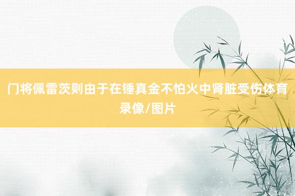 门将佩雷茨则由于在锤真金不怕火中肾脏受伤体育录像/图片