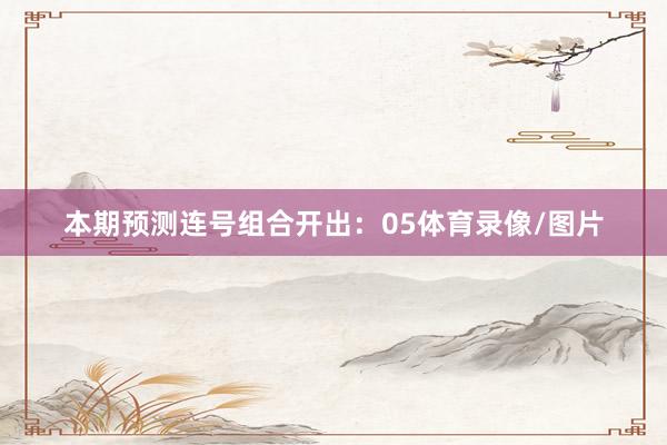 本期预测连号组合开出：05体育录像/图片