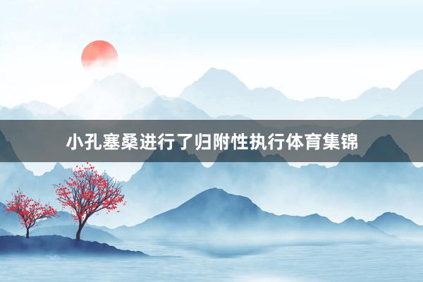 小孔塞桑进行了归附性执行体育集锦