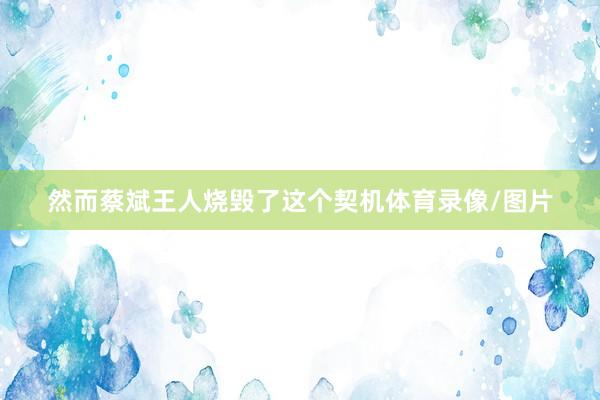 然而蔡斌王人烧毁了这个契机体育录像/图片