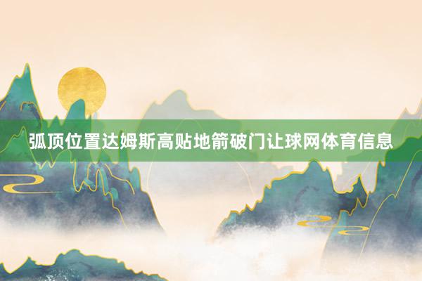 弧顶位置达姆斯高贴地箭破门让球网体育信息