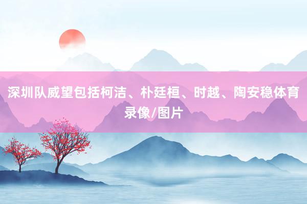 深圳队威望包括柯洁、朴廷桓、时越、陶安稳体育录像/图片