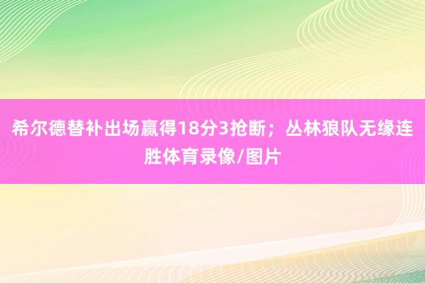 希尔德替补出场赢得18分3抢断；丛林狼队无缘连胜体育录像/图片