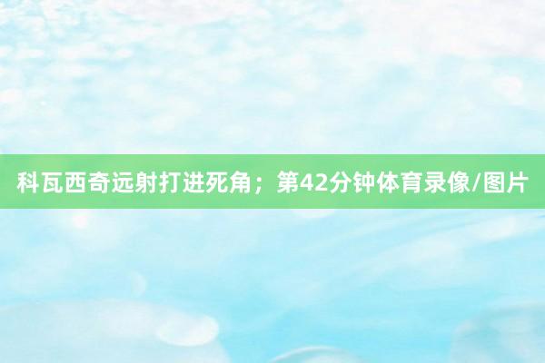 科瓦西奇远射打进死角；第42分钟体育录像/图片