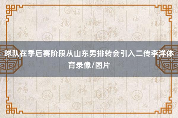 球队在季后赛阶段从山东男排转会引入二传李洋体育录像/图片