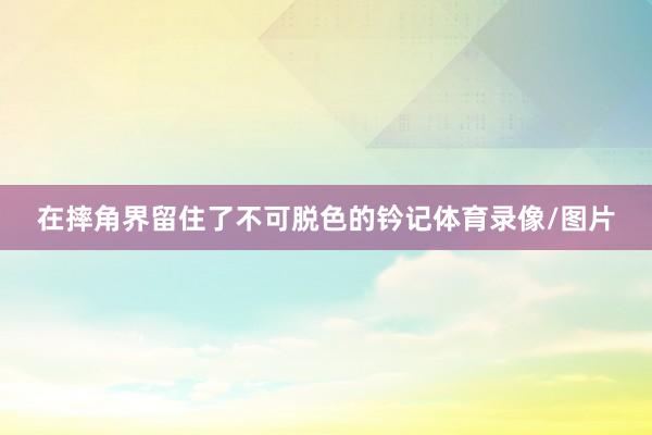 在摔角界留住了不可脱色的钤记体育录像/图片