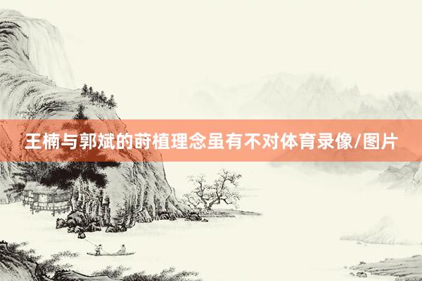 王楠与郭斌的莳植理念虽有不对体育录像/图片