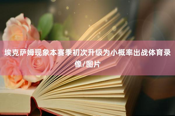 埃克萨姆现象本赛季初次升级为小概率出战体育录像/图片