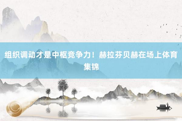 组织调动才是中枢竞争力！赫拉芬贝赫在场上体育集锦