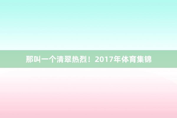 那叫一个清翠热烈！2017年体育集锦