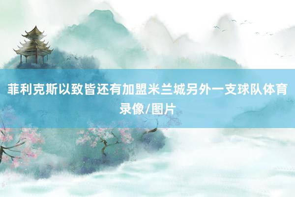 菲利克斯以致皆还有加盟米兰城另外一支球队体育录像/图片
