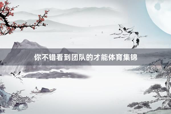 你不错看到团队的才能体育集锦