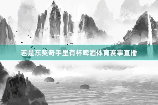 若是东契奇手里有杯啤酒体育赛事直播