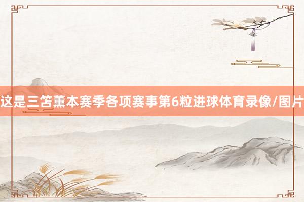 这是三笘薫本赛季各项赛事第6粒进球体育录像/图片