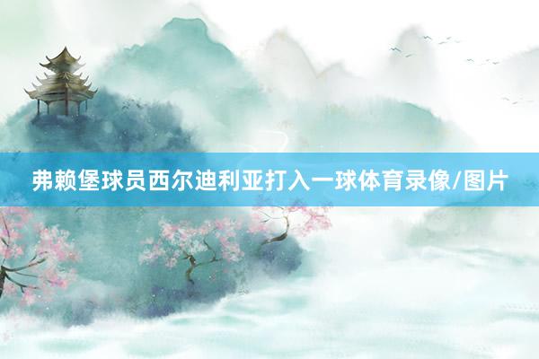 弗赖堡球员西尔迪利亚打入一球体育录像/图片
