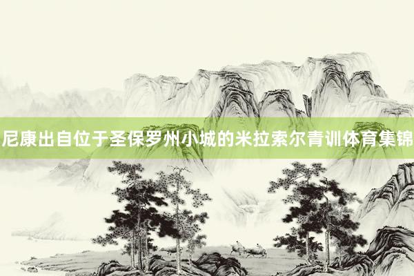 尼康出自位于圣保罗州小城的米拉索尔青训体育集锦