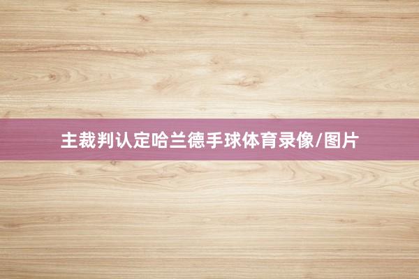 主裁判认定哈兰德手球体育录像/图片