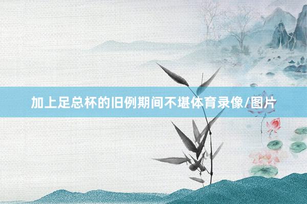 加上足总杯的旧例期间不堪体育录像/图片
