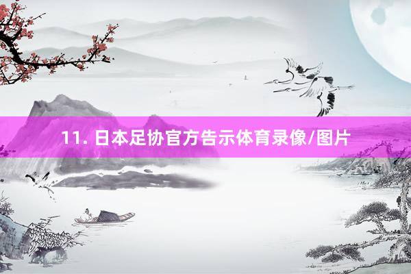 11. 日本足协官方告示体育录像/图片