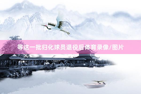 等这一批归化球员退役后体育录像/图片