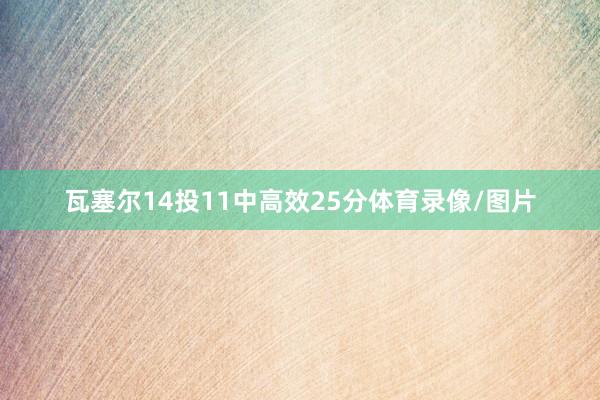 瓦塞尔14投11中高效25分体育录像/图片